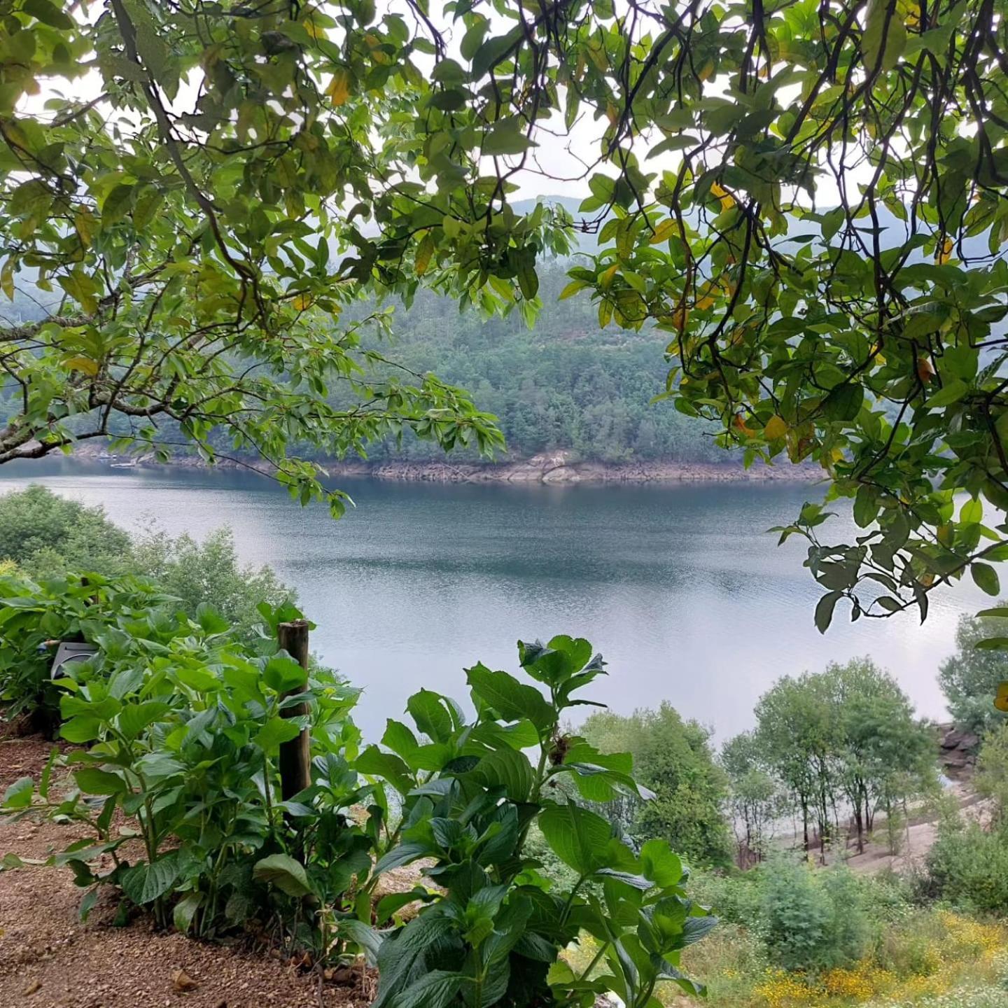 Casa Do Penedo - Quinta De Fundevilla Geres Eksteriør bilde